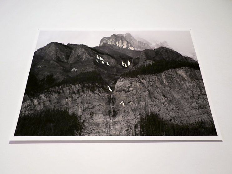 https://backend.mirunadragan.com/files/gimgs/th-12_GGallery_Mountain_web.jpg