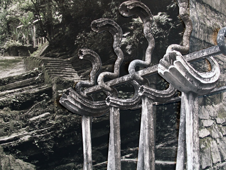 https://backend.mirunadragan.com/files/gimgs/th-6_IMG_2470_Xilitla_W.jpg