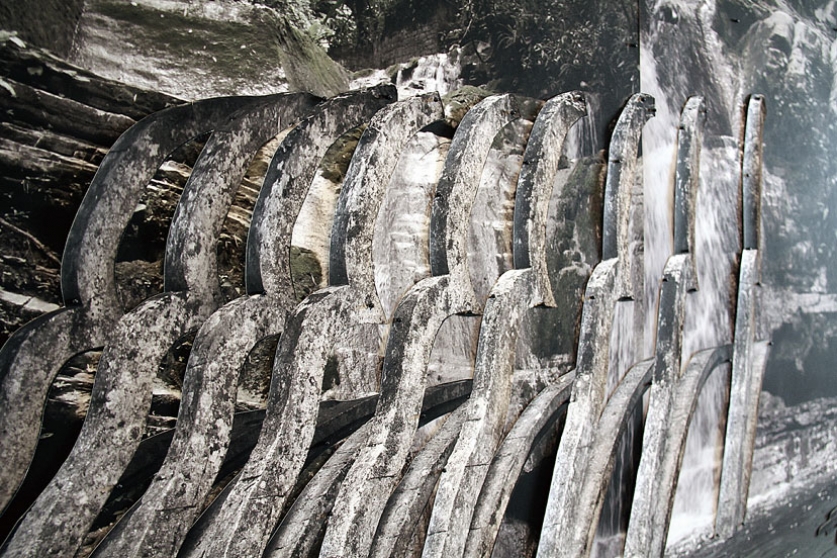 https://backend.mirunadragan.com/files/gimgs/th-6_IMG_2473_Xilitla_W.jpg